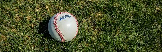 A baseball in outfield grass